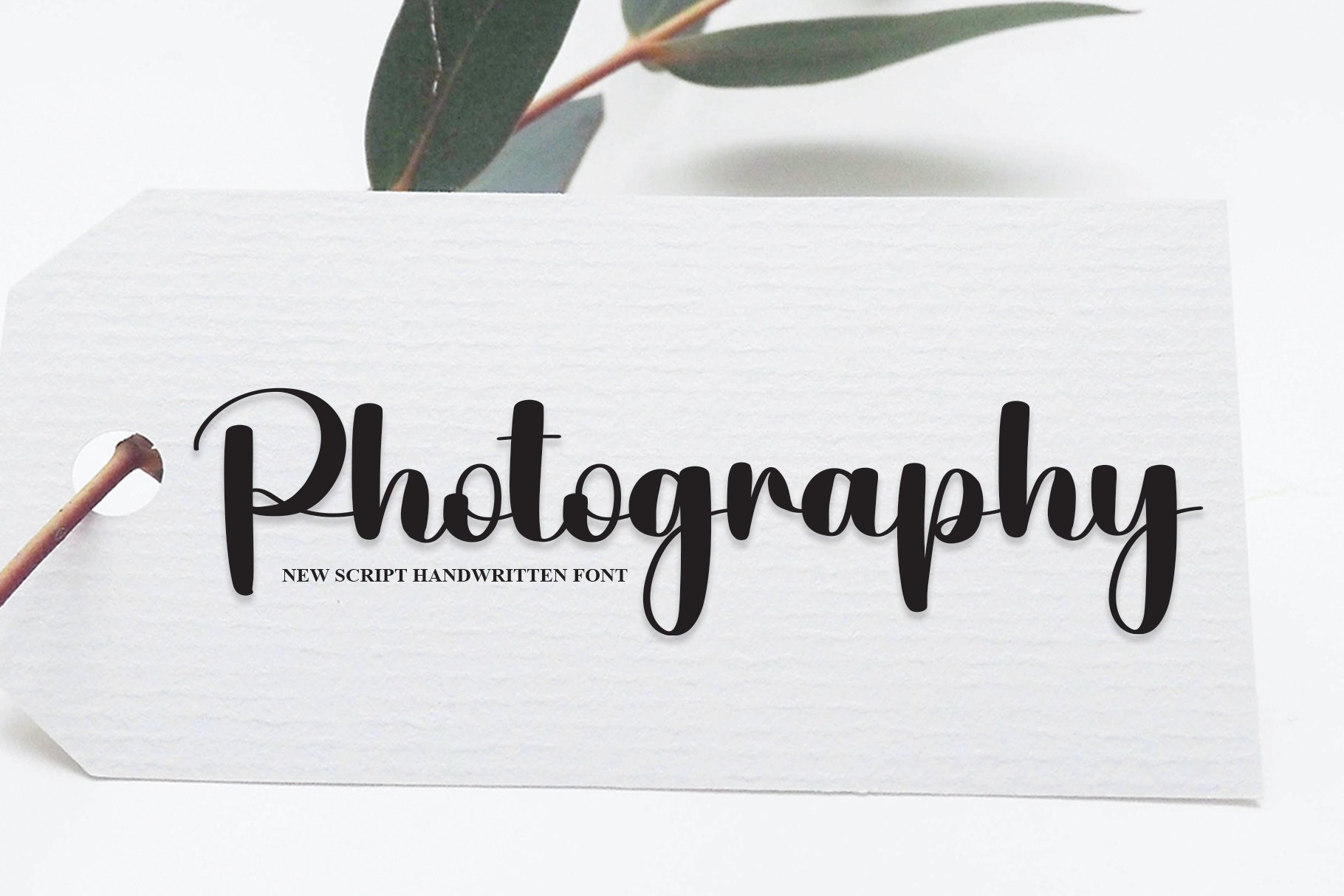 Photography | Script Font cover image.