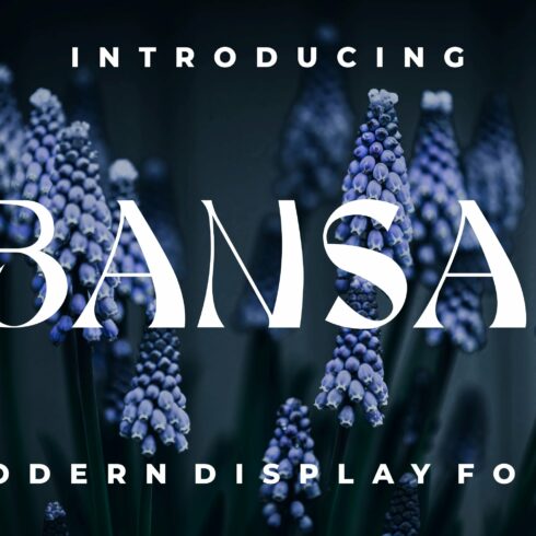 Bansai cover image.