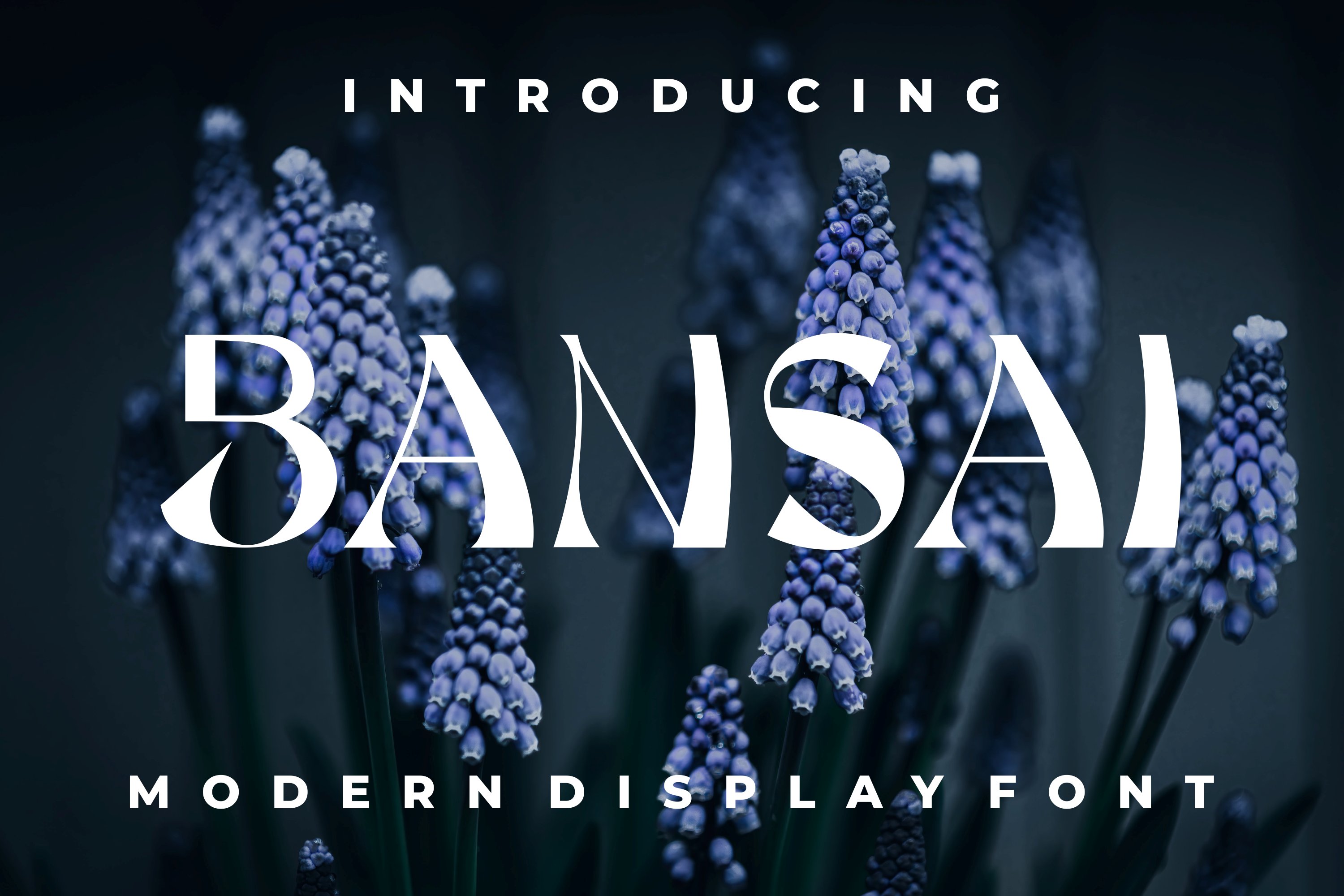 Bansai cover image.