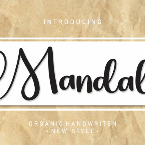 Mandala | Script Font cover image.