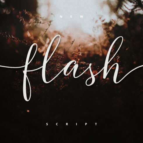 Flash Script - Update Latin Pro! cover image.