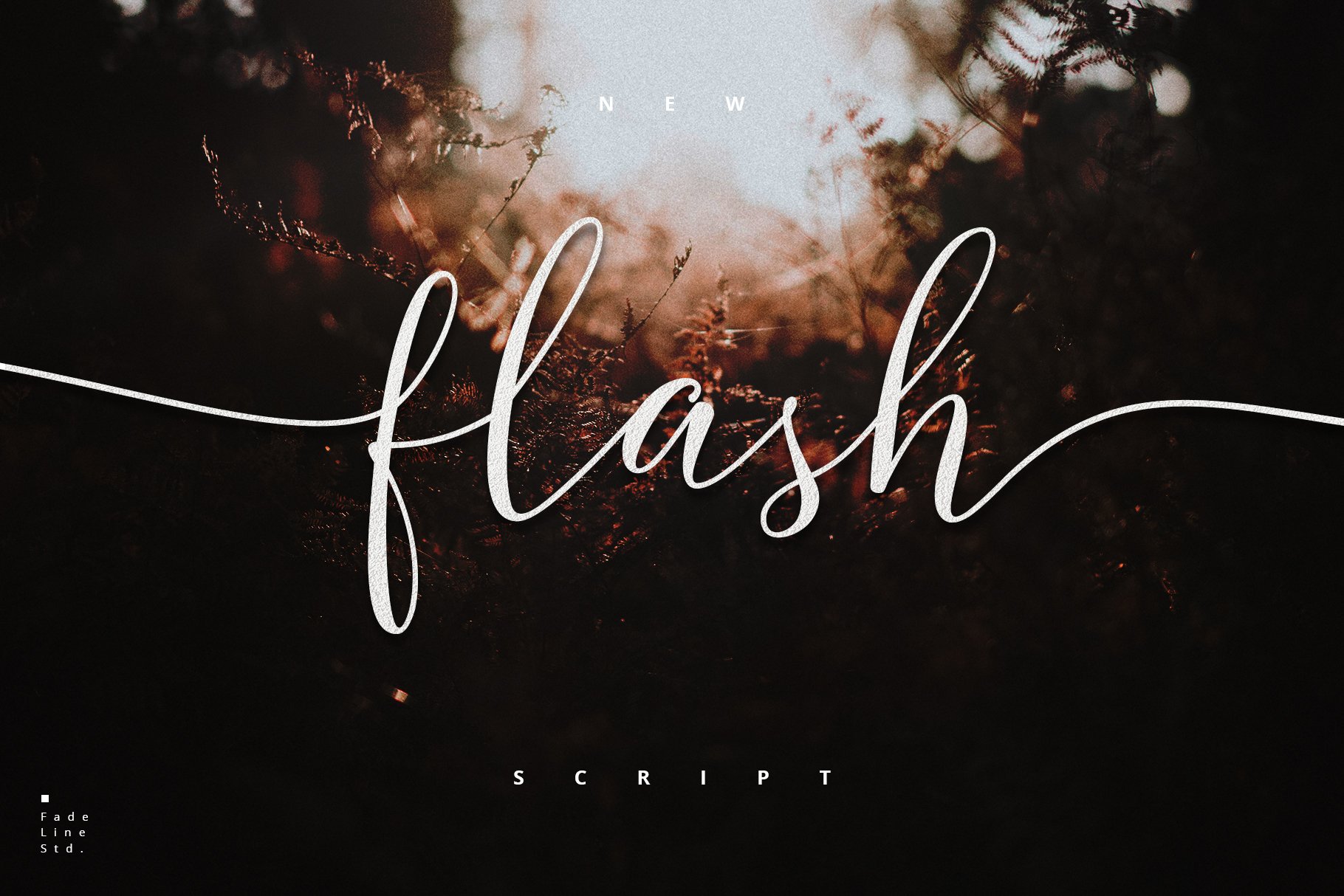 Flash Script - Update Latin Pro! cover image.