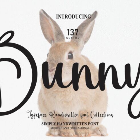 Bunny | Script Font cover image.