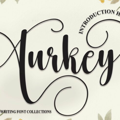 Turkey | Script Font cover image.