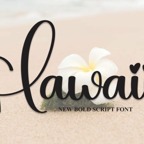 Hawaii | Script Font cover image.