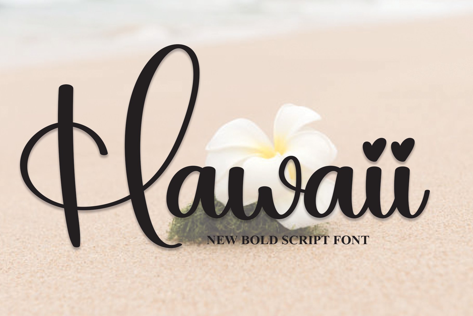 Hawaii | Script Font cover image.