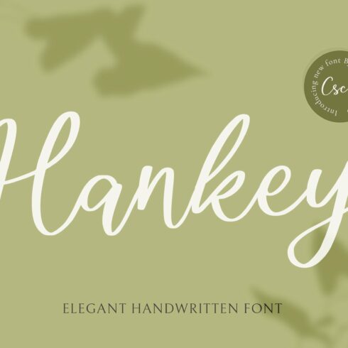 Hankey - Handwritten Font cover image.