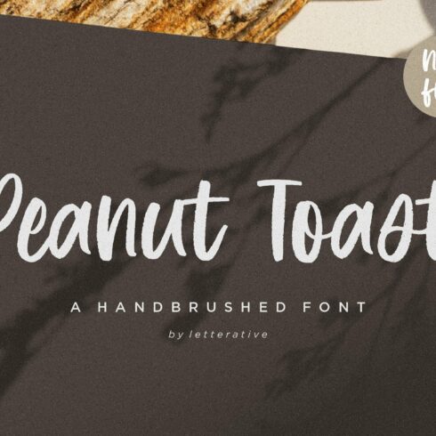 Peanut Toast - Handbrushed Font cover image.