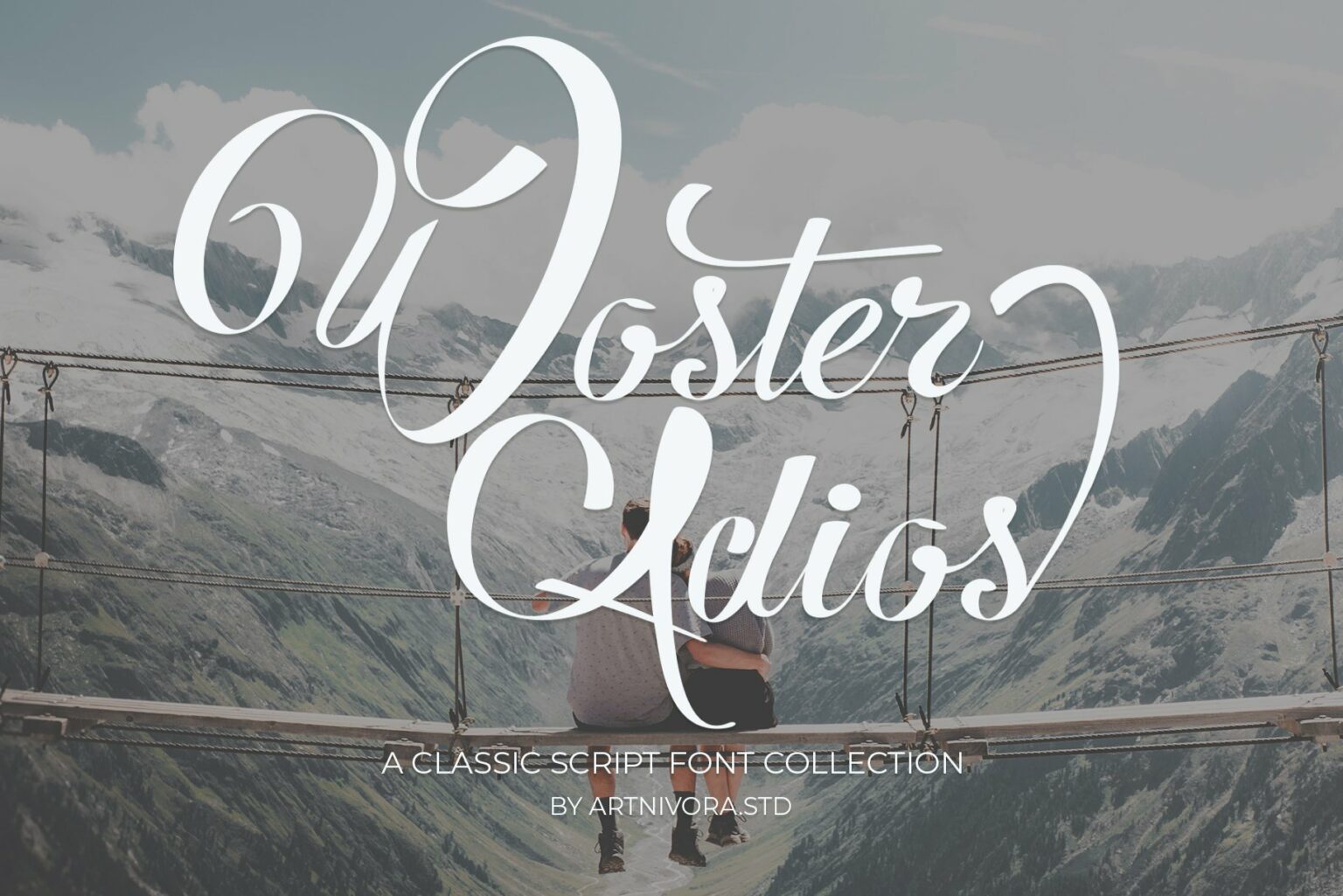 Woster Adios Script Font MasterBundles