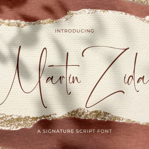Martin Zidan - Signature Script Font cover image.