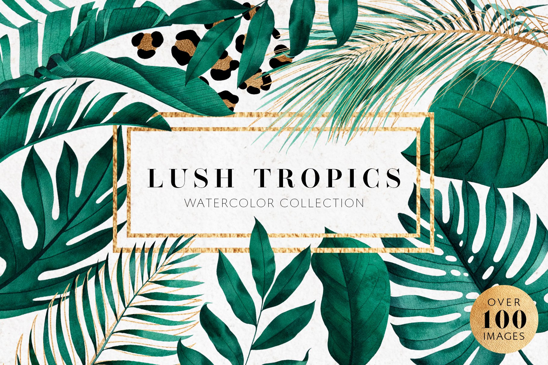 Tropical watercolor collection cover image.