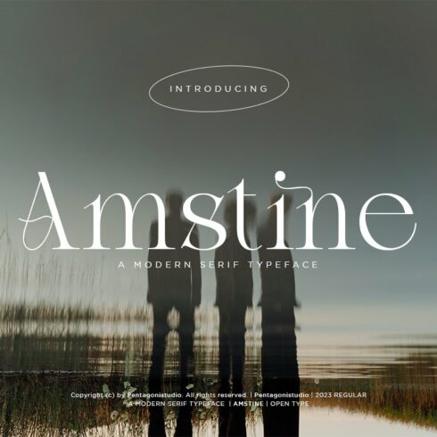 Amstine | Modern Serifcover image.