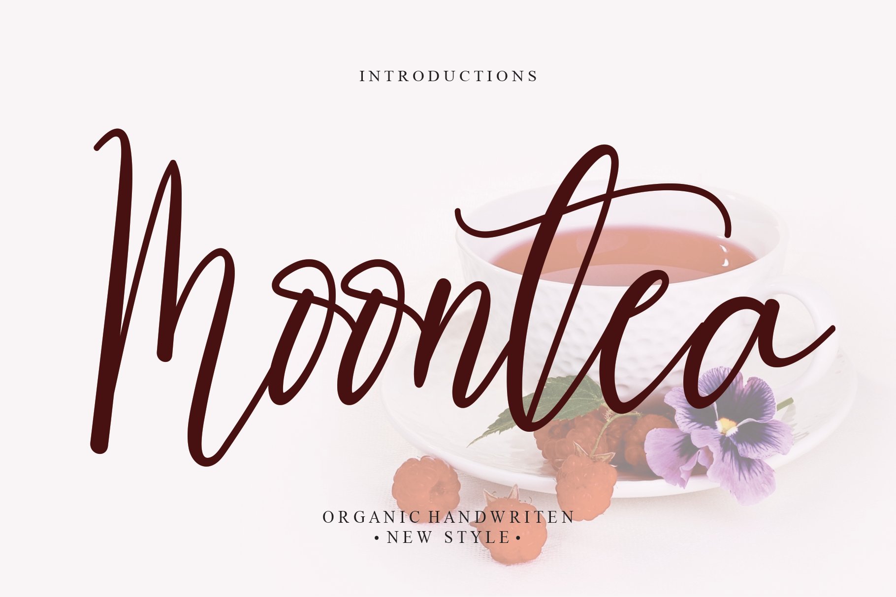 Moontea | Script font cover image.