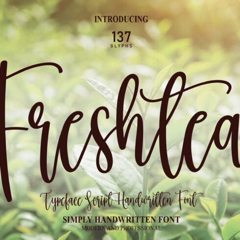 Freshtea | Script Font cover image.