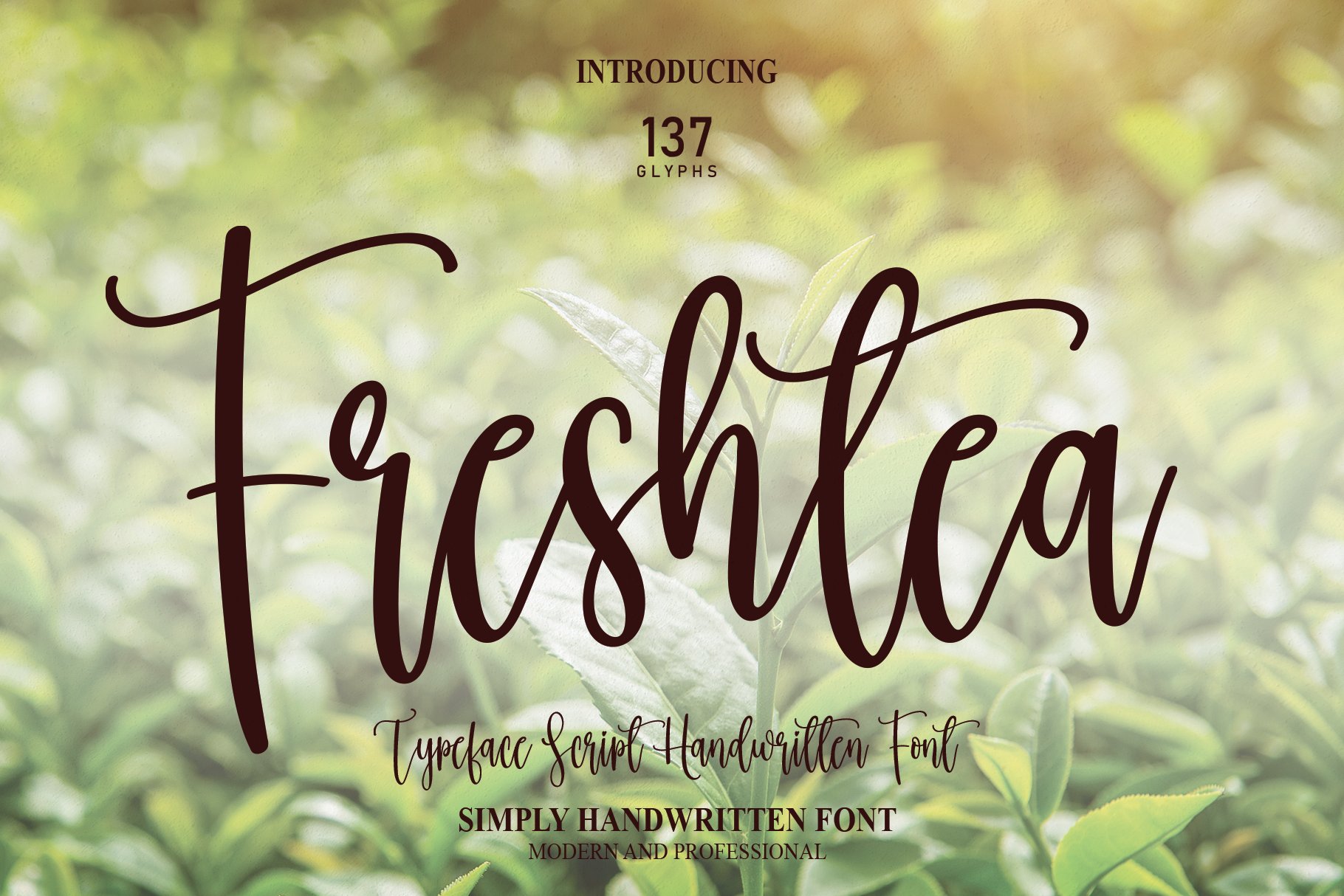 Freshtea | Script Font cover image.