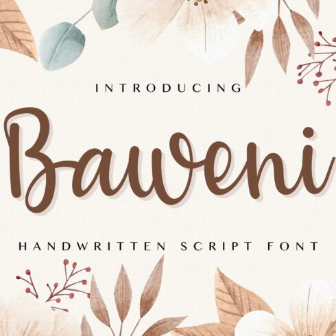 Baweni - Handwritten Script Font cover image.