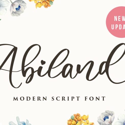 Abiland Script cover image.