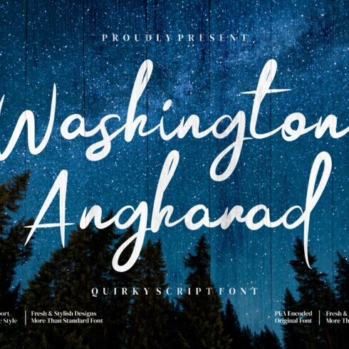 Washington Angharad cover image.