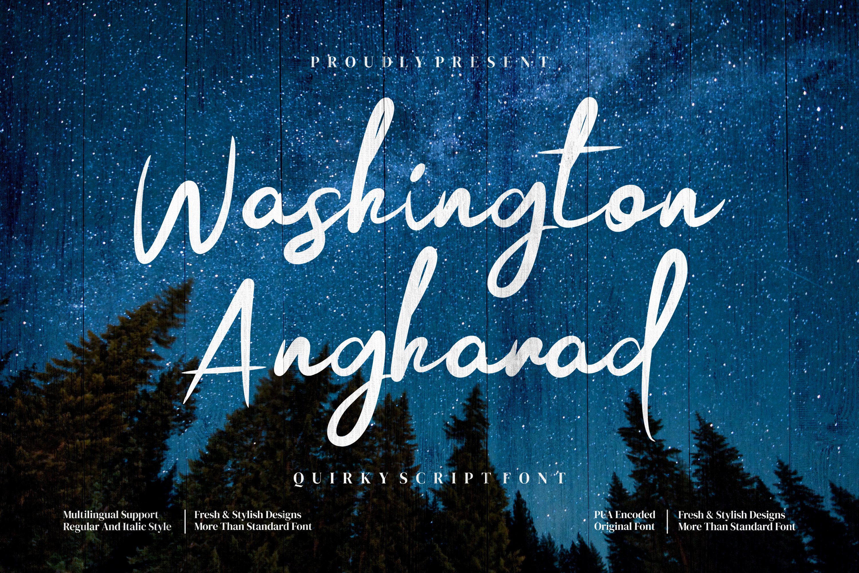 Washington Angharad cover image.