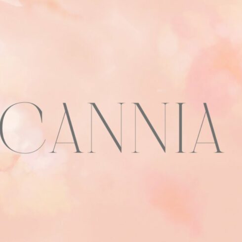Modern Display Font | Cannia Serifcover image.