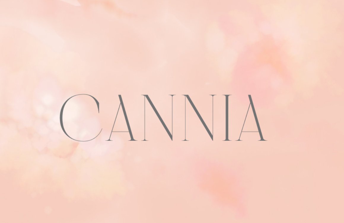Modern Display Font | Cannia Serifcover image.