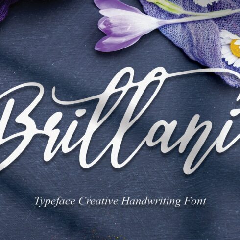 Brittani | Script Font cover image.