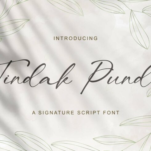 Tindak Pundi - Signature Script Font cover image.