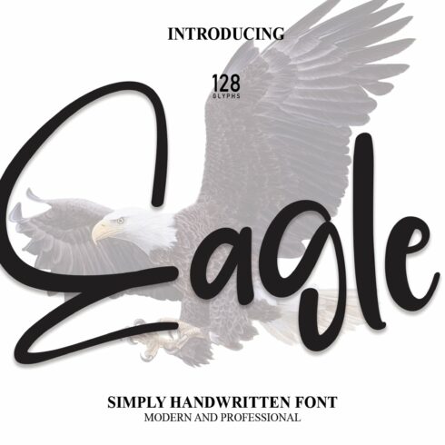 Eagle | Script Font cover image.