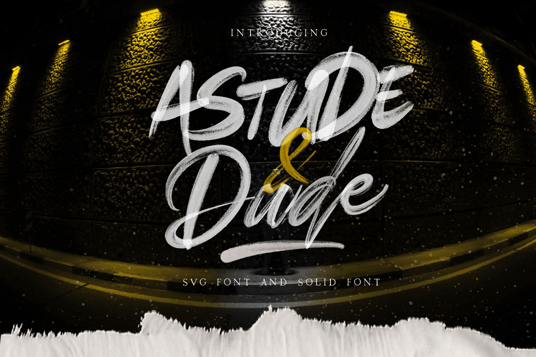 Astude & Dude SVG Font & Solid preview image.