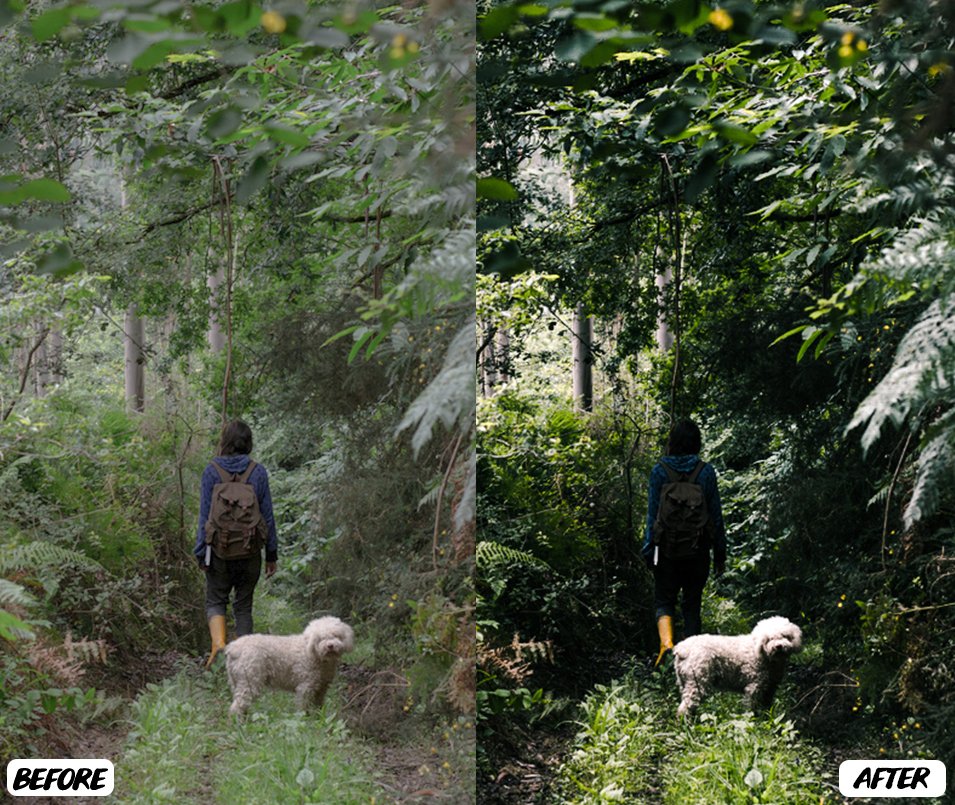 Jungle Lightroom Presetspreview image.