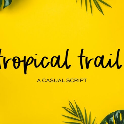 Tropical Trail Script Font cover image.