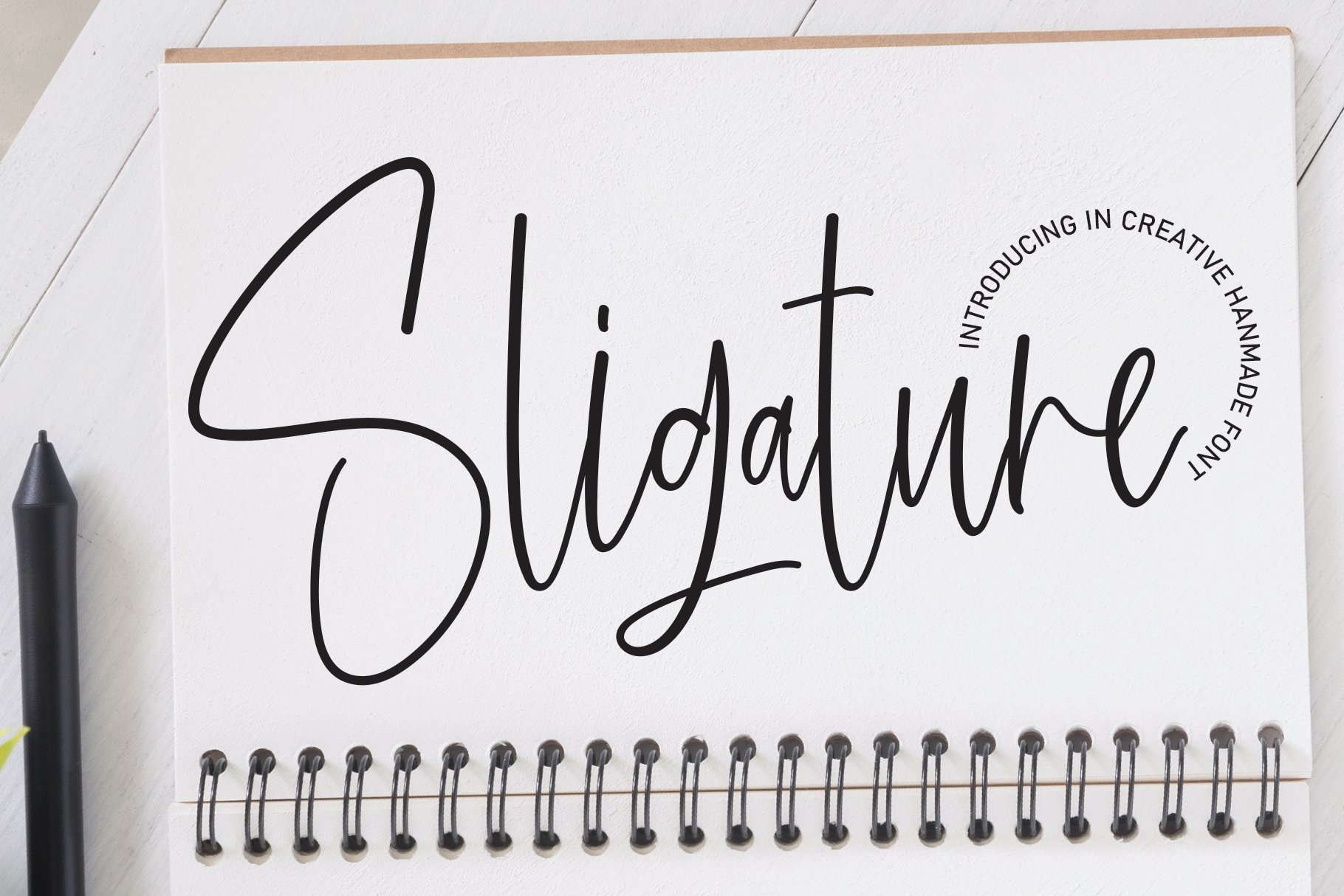 Sligature | Script Font cover image.