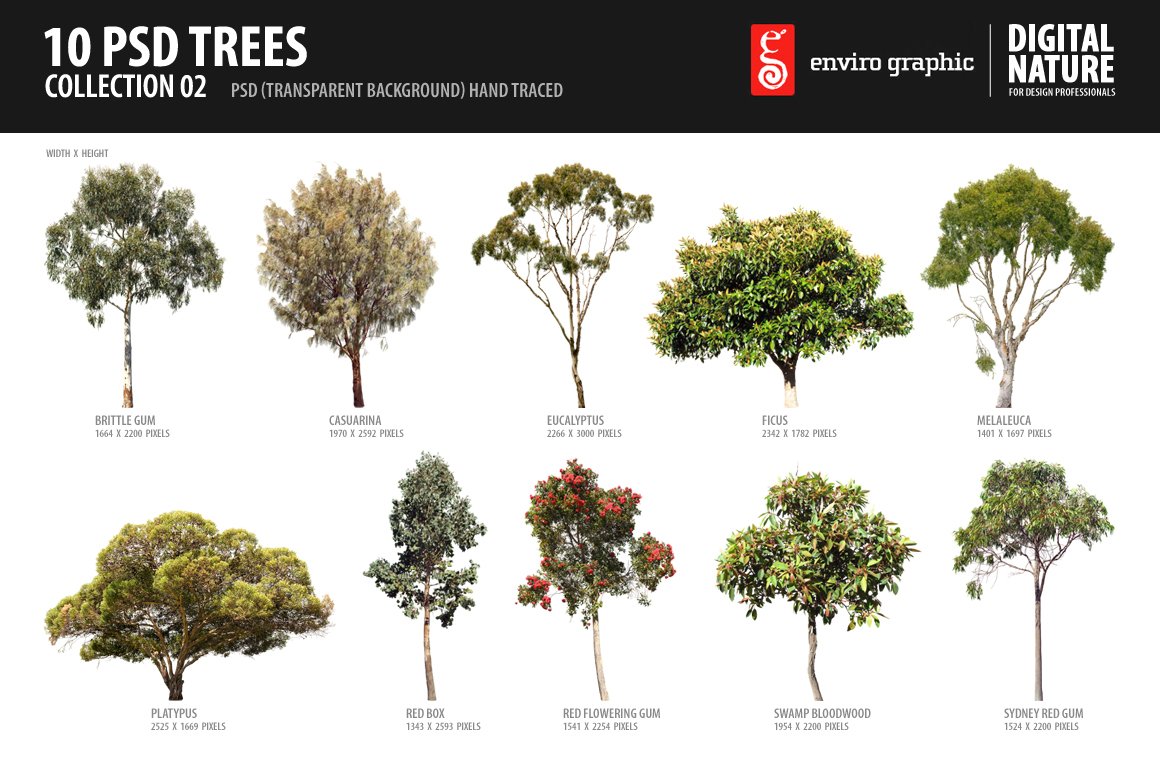 10 PSD Trees Collection 2 cover image.
