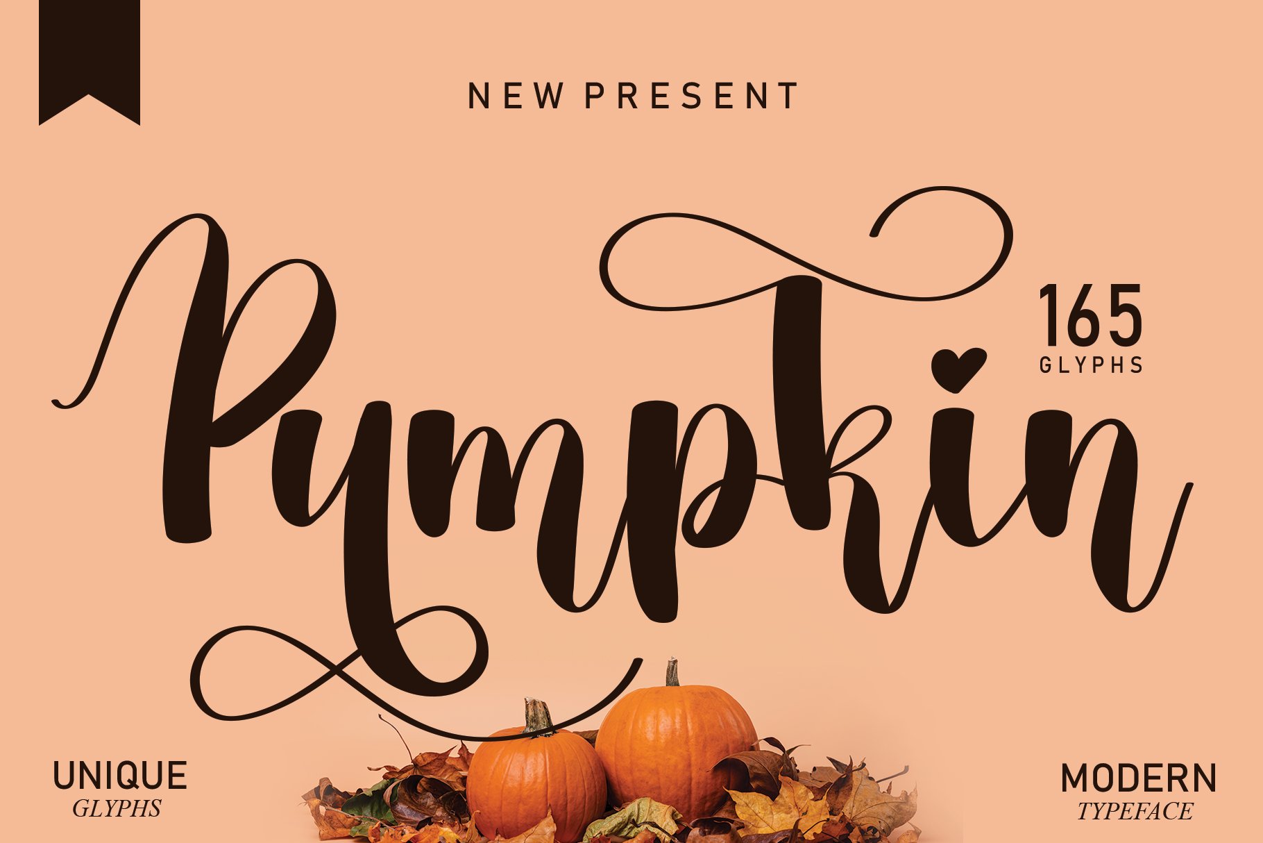 Pumpkin | Script font cover image.