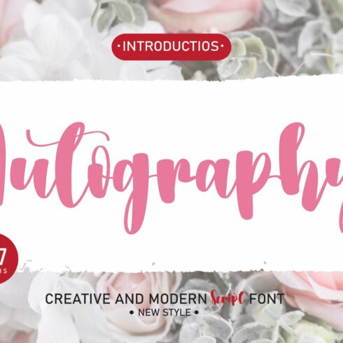 Autography | Handwriten Font cover image.