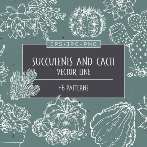 Succulents and cacti cover image.