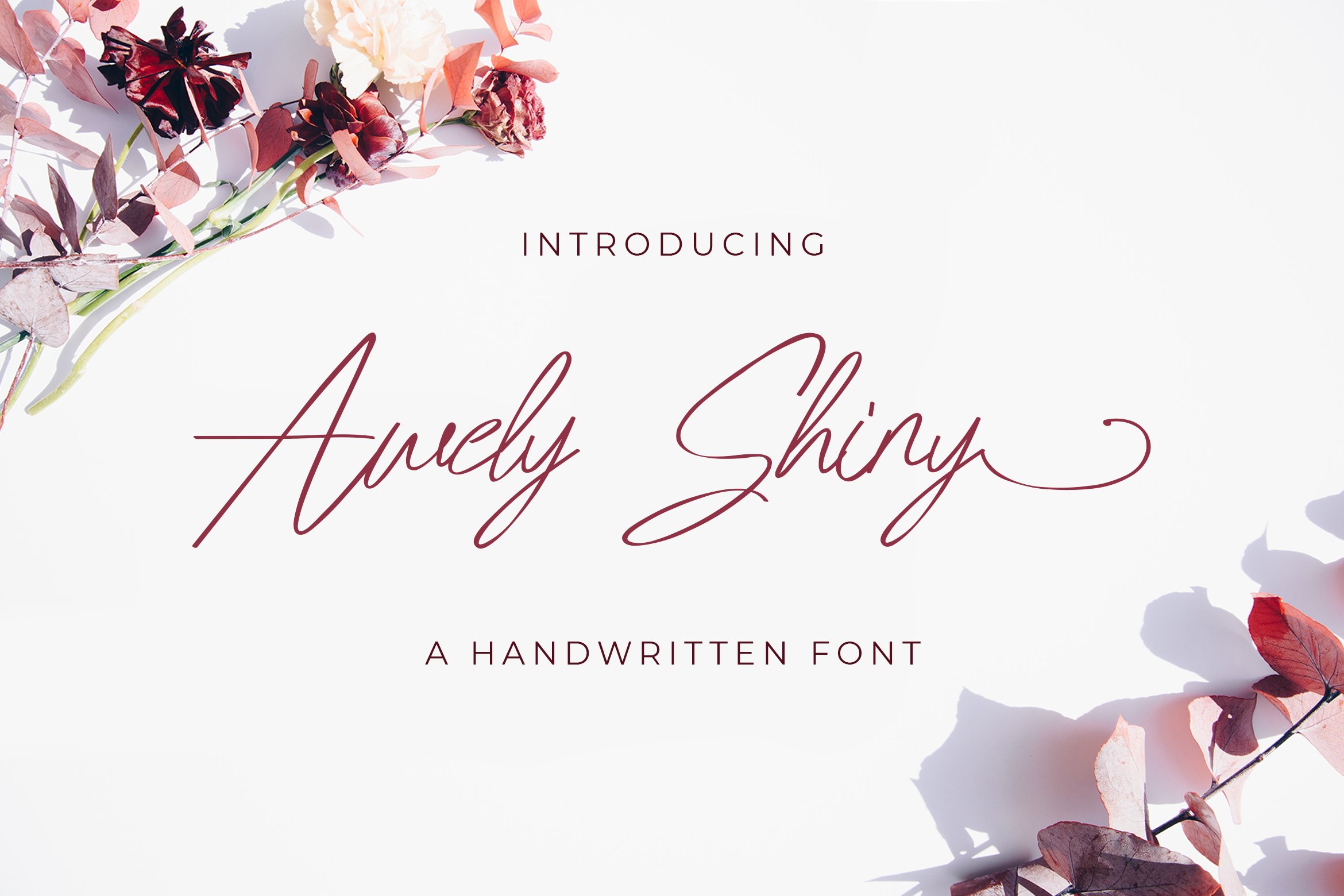 Awely Shiny - Handwritten Font cover image.