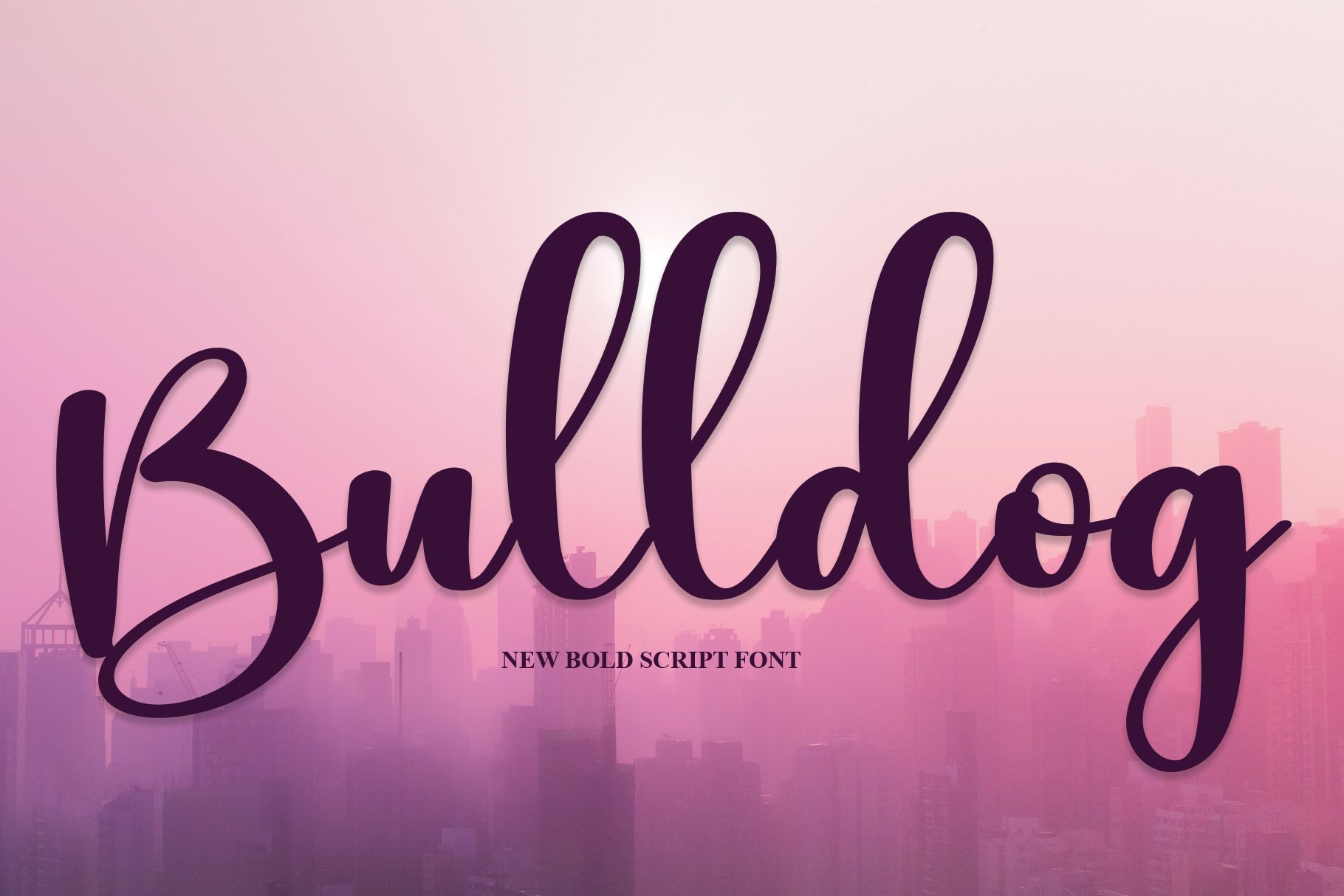 Bulldog | Script Font cover image.