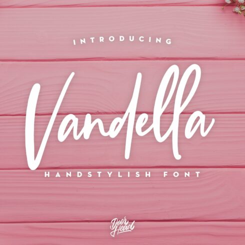 Vandella Handstylish Font cover image.