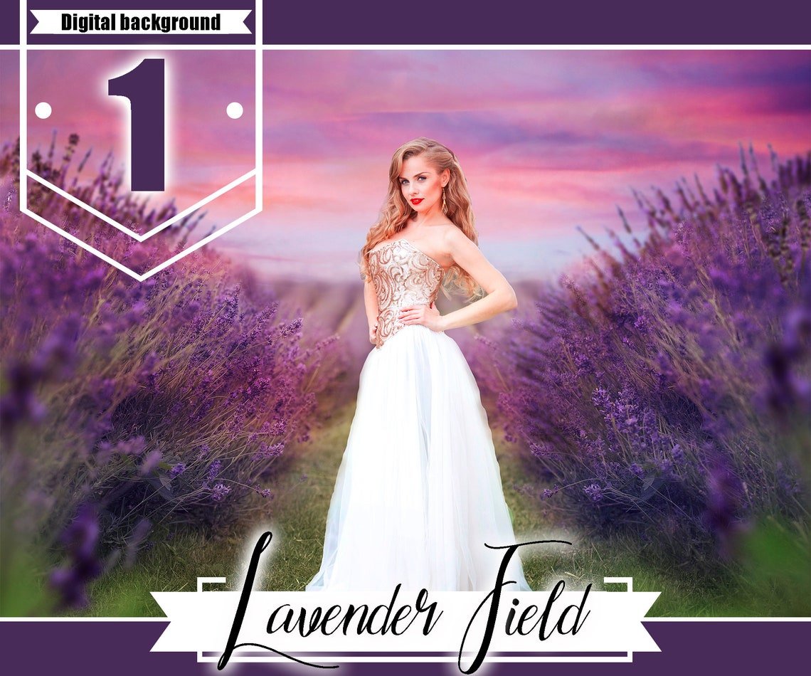 Lavender Fields Background, Backdropcover image.