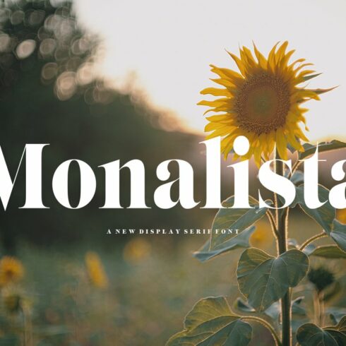 A sunflower in a field with the words monalista.