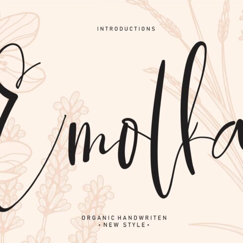 Emolka | Script font cover image.