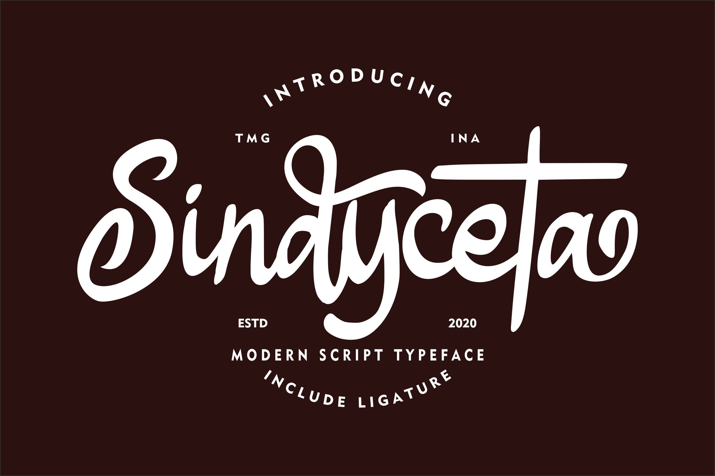 Sindyceta Modern Script cover image.