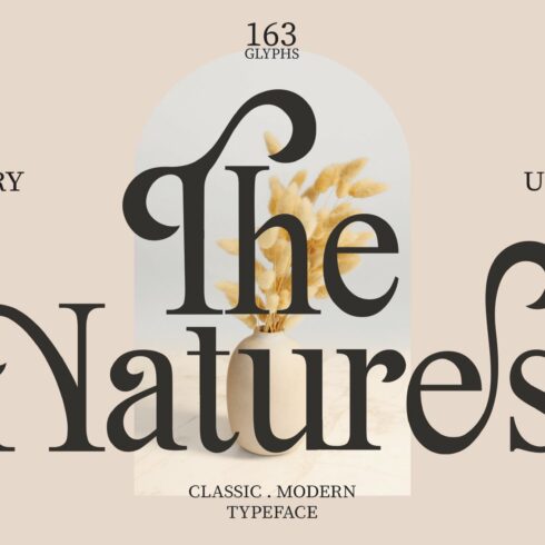 The Natures / Modern Font cover image.