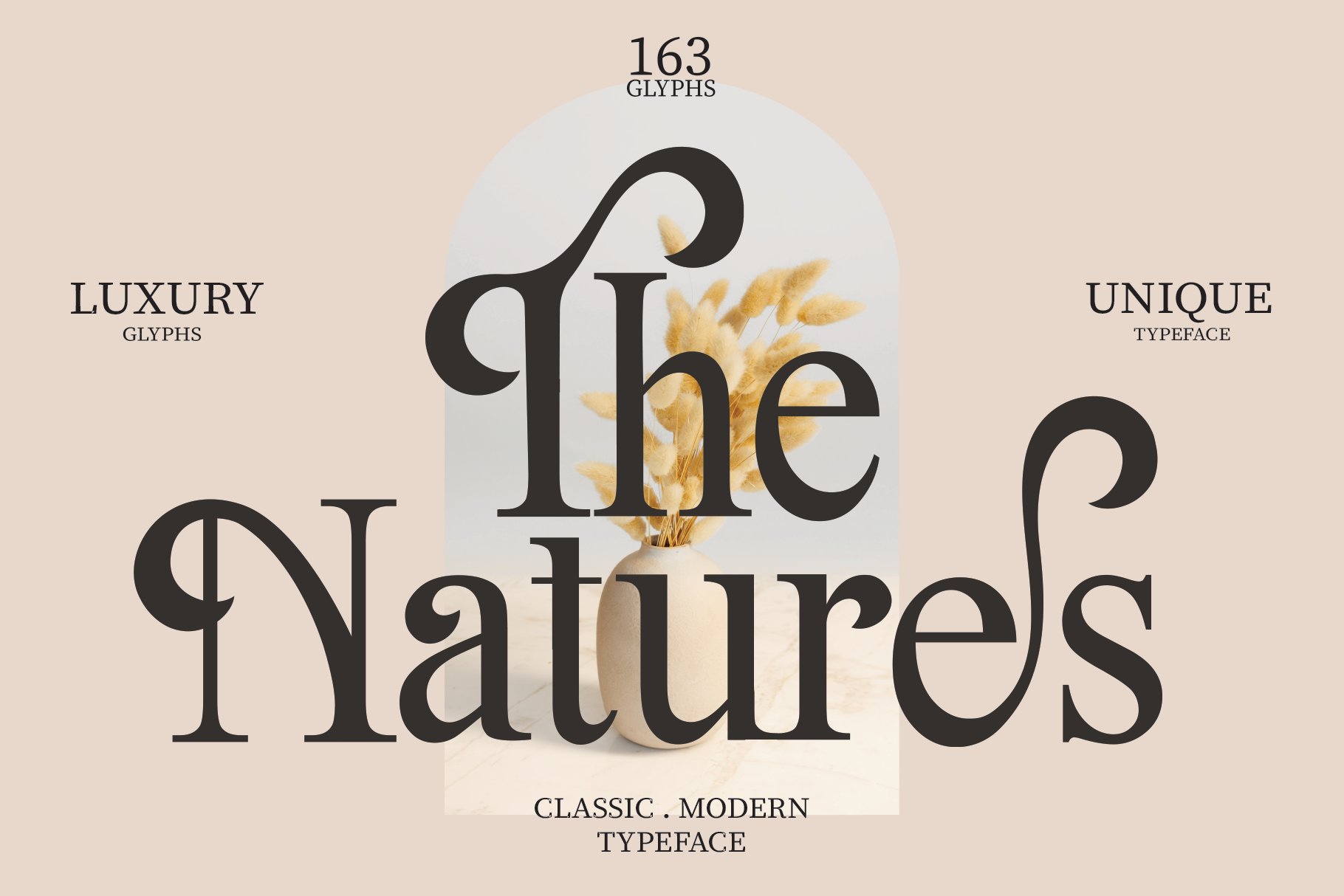 The Natures / Modern Font cover image.