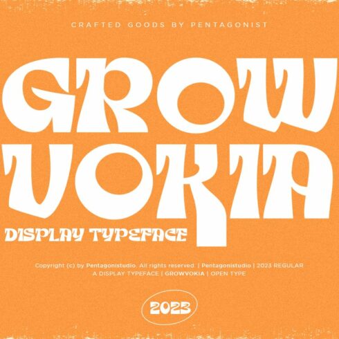 GROWVOKIA | Groovy Displaycover image.