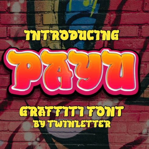 Payu cover image.