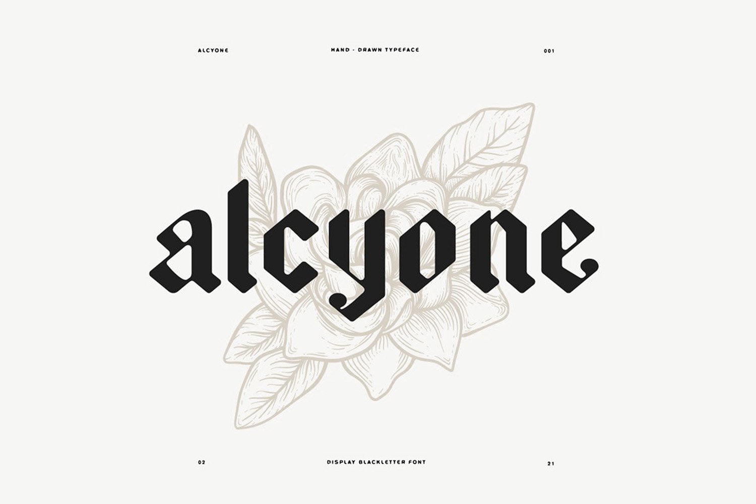 Alcyone Display Font + Illustrations cover image.