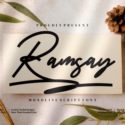 Ramsay - Monoline Script style font cover image.