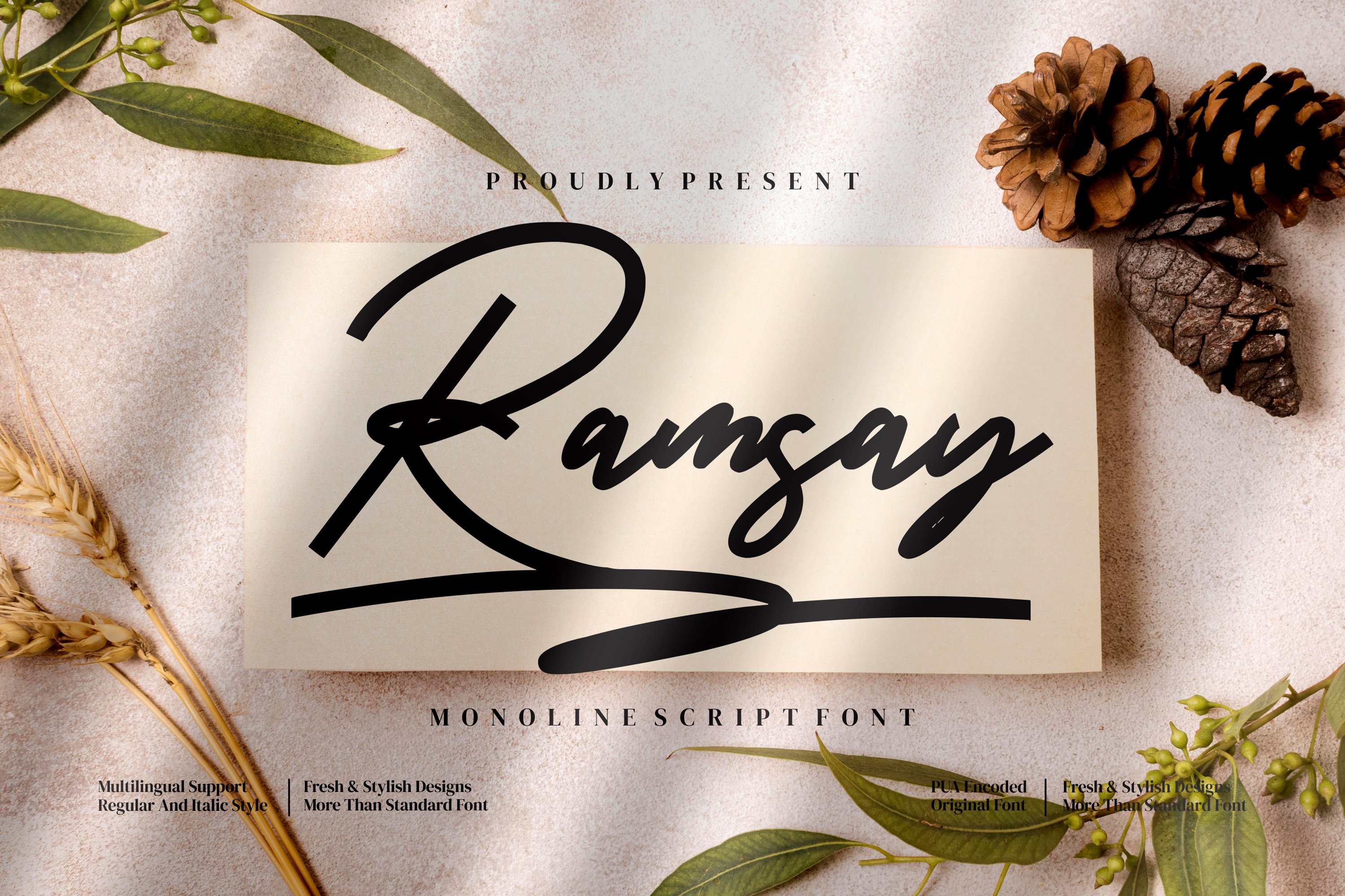 Ramsay - Monoline Script style font cover image.